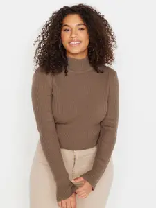 Trendyol Ribbed High Neck Acrylic Pullover