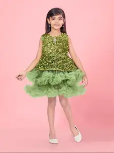 Aarika Girls Self Design Aplique Tulle Net Fit & Flare Dress