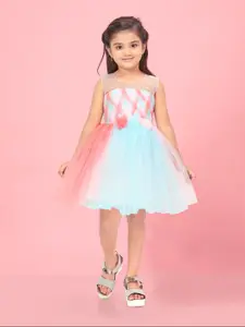 Aarika Girls Colourblocked Applique Net Tulle Fit & Flare Dress