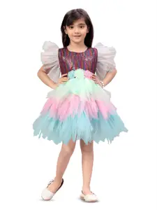 Aarika Girls Sequinned Embellished Flutter Sleeves Net Fit & Flare Dress