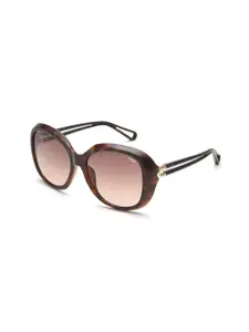 IDEE Women Butterfly Sunglasses with UV Protected Lens IDS2945C2SG