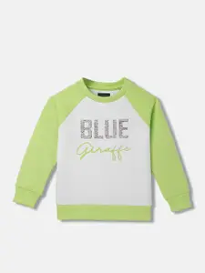Blue Giraffe Girls Colourblocked Pullover