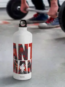 macmerise Marvel Leak Proof Astonishing Ant Man Design Aluminium Water Bottle 750 ml