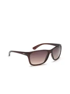 IDEE Men Brown Lens & Brown Rectangle Sunglasses with UV Protected Lens