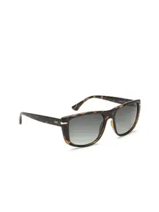 IDEE Men Green Lens & Brown Square Sunglasses with UV Protected Lens