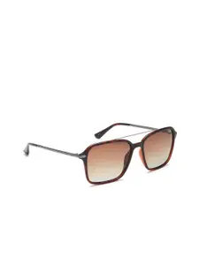 IDEE Men Brown Lens & Brown Square Sunglasses with UV Protected Lens