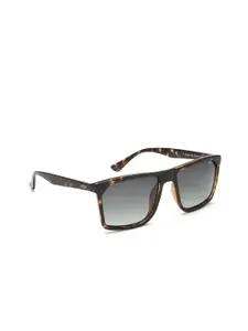 IDEE Men Green Lens & Brown Square Sunglasses with UV Protected Lens