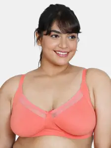 Zivame Plus Size Full Coverage Everyday Bra All Day Comfort