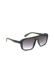 IDEE Men Green Lens & Green Round Sunglasses with UV Protected Lens