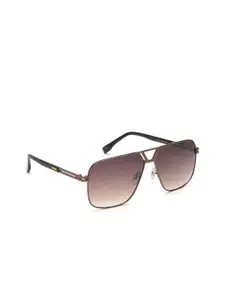 IDEE Men Brown Lens & Brown Round Sunglasses with UV Protected Lens