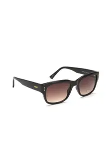 IDEE Men Round Sunglasses with UV Protected Lens IDS2988C2SG