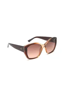 IDEE Women Brown Lens & Brown Round Sunglasses with UV Protected Lens