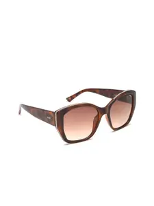 IDEE Women Brown Lens & Brown Round Sunglasses with UV Protected Lens