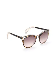 Police Women Brown Lens & Brown Oval Sunglasses with UV Protected Lens