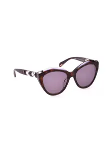 Police Women Purple Lens & Brown Cateye Sunglasses with UV Protected Lens