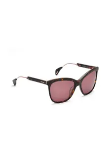 Police Women Brown Lens & Brown Butterfly Sunglasses with UV Protected Lens