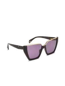 Police Women Purple Lens & Black Cateye Sunglasses with UV Protected Lens