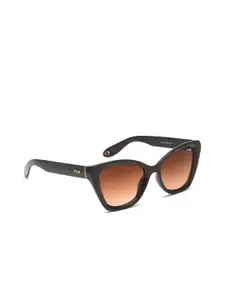 IRUS by IDEE Women Brown Lens & Brown Cateye Sunglasses with UV Protected Lens