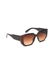 IRUS by IDEE Women Brown Lens & Brown Square Sunglasses with UV Protected Lens