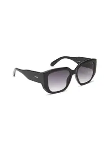 IRUS by IDEE Women Lens & Square Sunglasses With UV Protected Lens