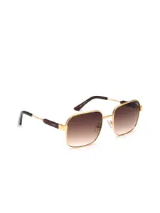 IRUS by IDEE Men Brown Lens & Gold-Toned Square Sunglasses with UV Protected Lens