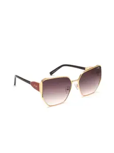 IRUS by IDEE Women Brown Lens & Gold-Toned Other Sunglasses with UV Protected Lens