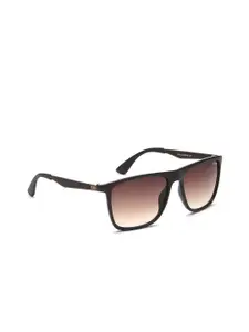 IRUS by IDEE Men Brown Lens & Brown Square Sunglasses with UV Protected Lens