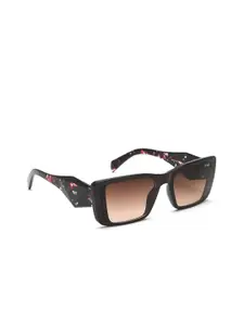 IRUS by IDEE Women Square Sunglasses with UV Protected Lens IRS1246C3SG