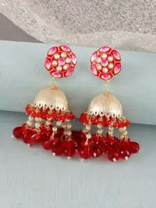 Crunchy Fashion Gold-Plated Dome Shaped Jhumkas