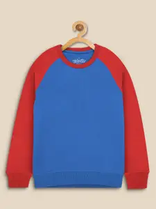 Kids Ville Boys Colourblocked Round Neck Long Sleeved Sweatshirts