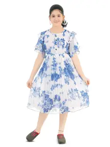 BAESD Girls Floral Print Round Neck Flutter Sleeve Accordion Pleats Fit & Flare Dress