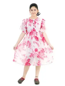 BAESD Girls Floral Print Round Neck Flutter Sleeve Accordion Pleats Fit & Flare Dress