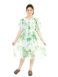 BAESD Girls Floral Print Round Neck Flutter Sleeve Accordion Pleats Fit & Flare Dress