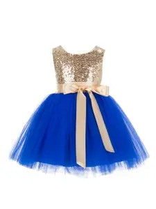 BAESD Net Round Neck Sleeveless Fit & Flare Dress