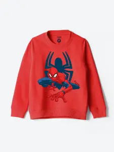 YK Marvel Boys Spider-Man Printed Sweatshirt