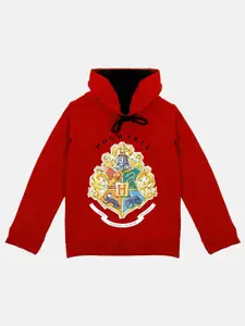 YK Warner Bros Boys Harry Potter Printed Hood Pullover Sweatshirt