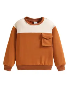 StyleCast Boys Brown Colourblocked Sweatshirt
