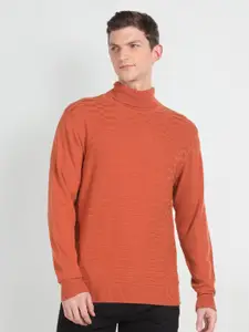 Arrow Self Designed Turtle Neck Sweater
