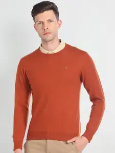 Arrow Round Neck Woollen Sweater