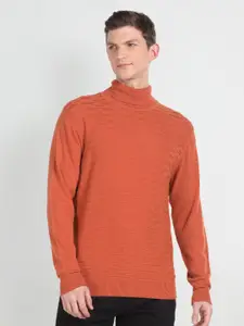 Arrow Self Designed Turtle Neck Sweater