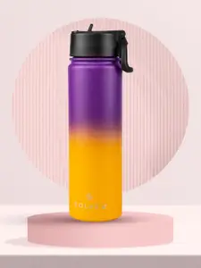 Solara Stainless Steel Vacuum Insulated Water Bottle Purple Sunset 650ML