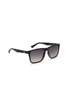FILA Men Square Sunglasses with UV Protected Lens SFI224K569AJSG