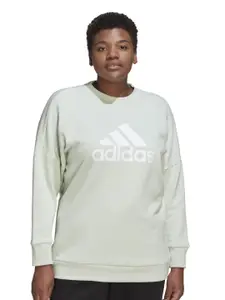 ADIDAS W FI BOS CREW Brand Logo Printed Crew Neck Pullover Cotton Sweatshirt