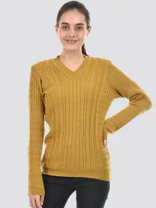 American Eye Cable Knit Self Design V-Neck Ribbed Acrylic Pullover