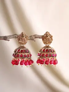 Priyaasi Gold-Plated Contemporary Jhumkas