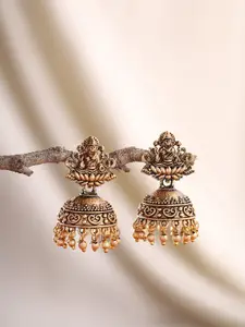 Priyaasi Contemporary Jhumkas Earrings