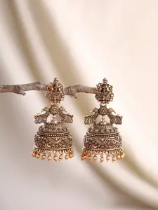 Priyaasi Gold-Plated Contemporary Jhumkas