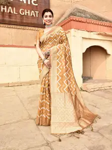 elora Chevron Woven Design Zari Ikkat Saree