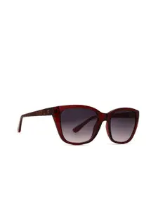 French Connection Women Square Sunglasses with UV Protected Lens