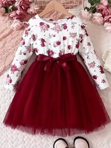 BAESD Floral Printed Net Fit & Flare Dress